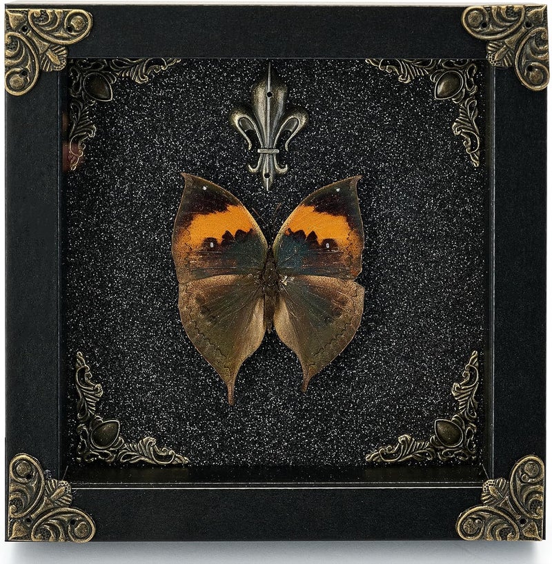 GDBEH Real Butterfly Framed Handmade - Taxidermy Butterfly Shadow Box - Real Framed Butterflies in a Box for Gothic Home Decor Aesthetic. (Kallima Inachus) - Image 1